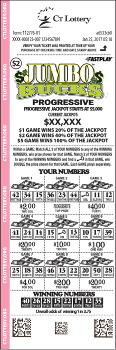 lotto raffle ticket winning numbers